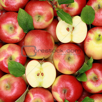 Red apples with leaves forming a background
