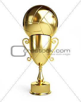 Gold Trophy Cup volleyball