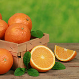 Freshly picked oranges in a wooden box