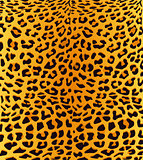 leopardskin