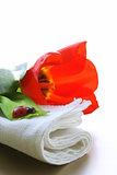 linen napkins for spring (Easter) table setting