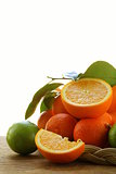 different types of citrus, lime, orange, grapefruit and mandarin
