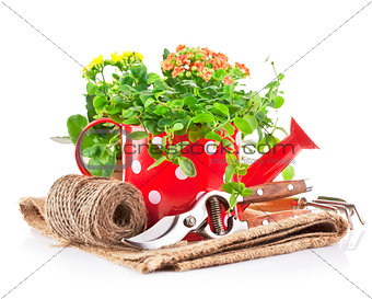 green plants in red watering can with garden tool