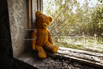 Old toy bear abandoned in the ruins.