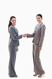 Two businesswomen shaking hands and smiling