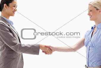 Close-up of women shaking hands