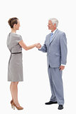 White hair businessman face to face and shaking hands with a wom