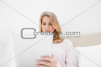 Low angle shot, woman looking at tablet pc 