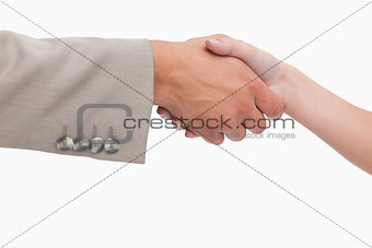 Close up of female and male hand shaking