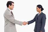 Side view of business partners shaking hands