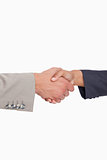 Side view of shaking hands of business people