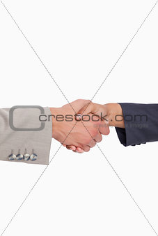 Side view of shaking hands of business people