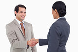 Smiling businessman shaking hand of businesspartner