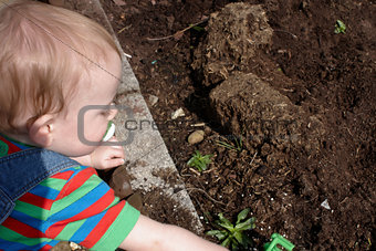 A child doing the garden