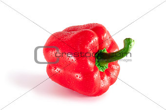 Red paprika
