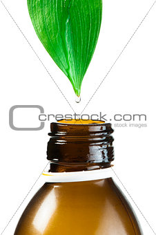 Green leaf and drop over a tube of cosmetics