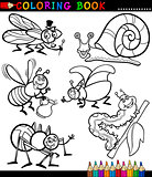 Insects and bugs for Coloring Book