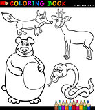 Cartoon Wild Animals for Coloring Book