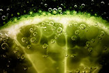 Lime slice in fizzy water