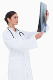 Side view of female doctor looking at x-ray