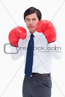 Young tradesman with boxing gloves