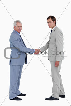 Side view of tradesmen closing a deal