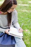 Overhead view of a young student sitting in a park with her scho