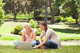 Friends sitting on the lawn with a laptop