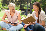 Friends reading books in the park