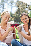 Smiling friends clinking wine glasses