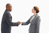 Businessman shaking businesswoman's hand