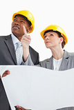 Business people wearing hard hats are talking