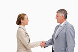 Business people shaking their hands