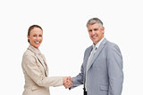 Portrait of business people shaking their hands