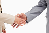 Close-up of business people shaking their hands