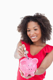 Pink piggy bank receiving bank notes