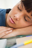 Close-up of a cute student sleeping