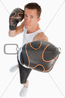 High angle view of boxer