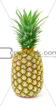 Ripe Pineapple Fruit