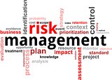 word cloud - risk management
