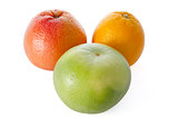 grapefruit, orange, and sweetie