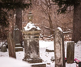 Flowers at a Grave in Winter