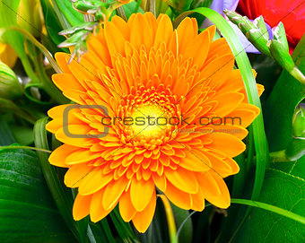 Colorful flowers bouquet isolated on white background.