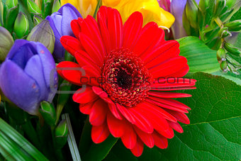 Colorful flowers bouquet isolated on white background.