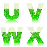 alphabet green beer UVWX