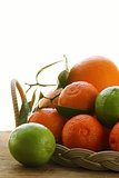different types of citrus, lime, orange, grapefruit and mandarin