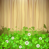 Background with clover