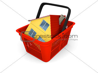Model of house in shopping basket