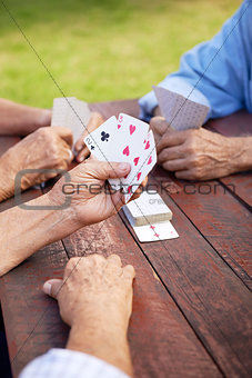 Active seniors, group of old friends playing cards at park