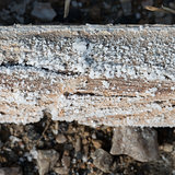 Natural salt crystal on wooden square log